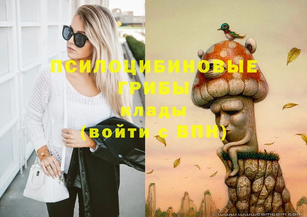 бутират Медвежьегорск
