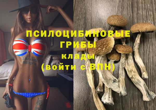 ешки Балахна