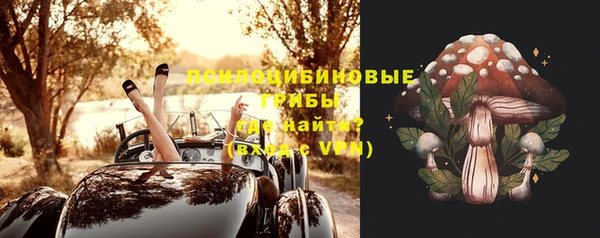 ешки Балахна