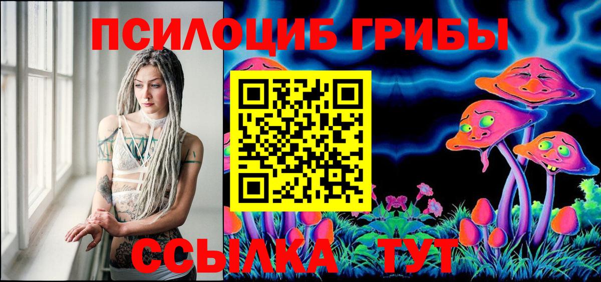 Псилоцибиновые грибы Psilocybine cubensis Калуга