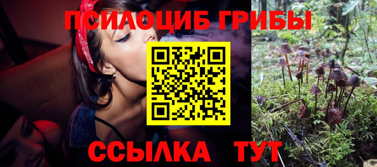 Калуга  где можно купить   Вход с VPN  Псилоцибиновые грибы Magic Shrooms 